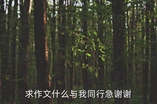 求作文什么與我同行急謝謝