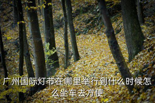 廣州國際燈節在哪里舉行到什么時候怎么坐車去方便