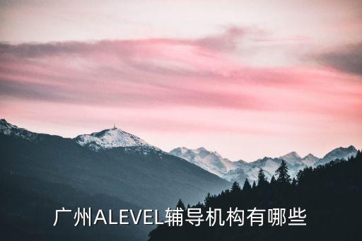 艾米麗培訓(xùn)機(jī)構(gòu)廣州，廣州ALEVEL輔導(dǎo)機(jī)構(gòu)有哪些