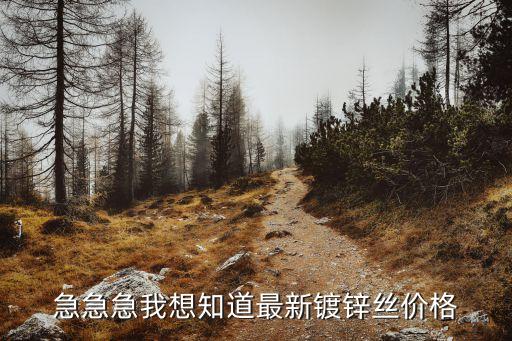 廣州國標熱鍍鋅絲桿報價，一般用途鍍鋅鐵絲05540最新價格