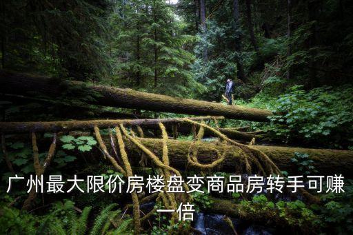 廣州化龍璞悅里房產，02086832288現(xiàn)為花都某樓盤的售樓電話請刪除該條過期信息以