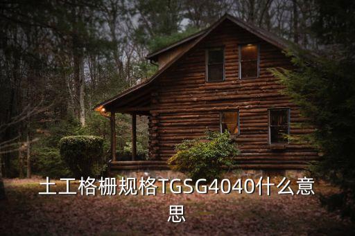 上海市高強經(jīng)編滌綸土工格柵，土工格柵規(guī)格TGSG4040什么意思