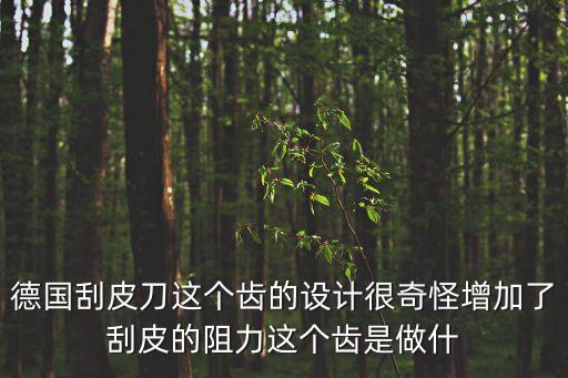 德國刮皮刀這個齒的設計很奇怪增加了刮皮的阻力這個齒是做什