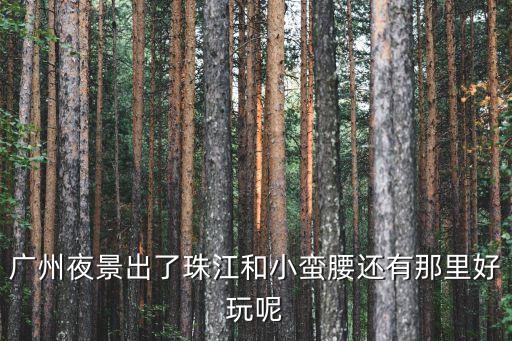 廣州夜景出了珠江和小蠻腰還有那里好玩呢