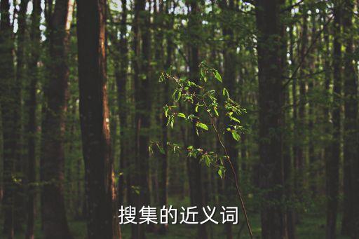 搜集的近義詞