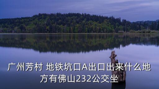 廣州市的坑口地鐵站a口，廣州坑口站