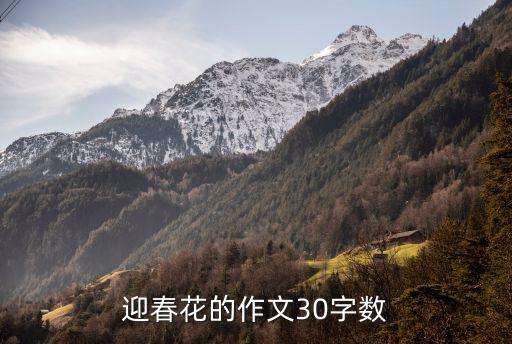 迎春花的作文，迎春花的作文30字數