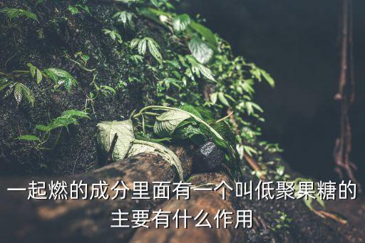一起燃的成分里面有一個叫低聚果糖的主要有什么作用
