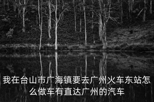 廣海車站到廣州車站，下午四點以后從廣海怎樣坐車回廣州