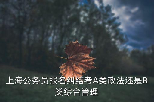 上海市考政法類報名人數，上海每年有多少考生各大名校如復旦交大同濟華東理工等等