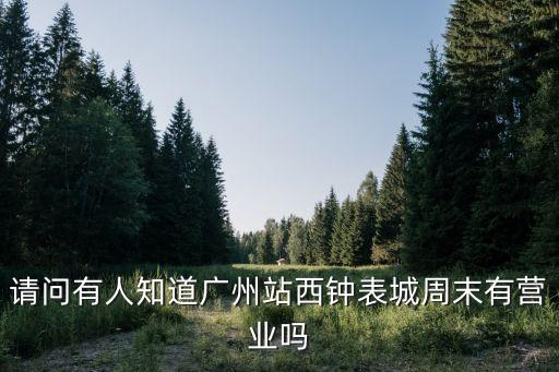 廣州站西路鐘表批發市場營業時間，站西鐘表城幾點營業