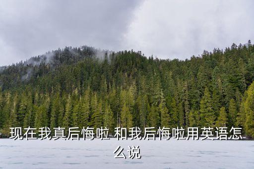 現在我真后悔啦 和我后悔啦用英語怎么說