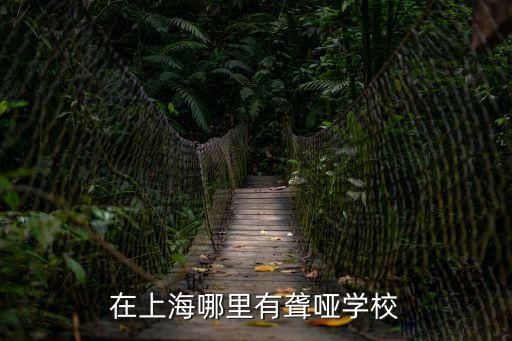 上海市第二聾校，在上海哪里有聾啞學校