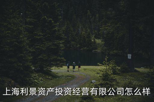 上海利景資產投資經營有限公司怎么樣