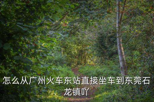 廣州到石龍動車在哪里坐，廣州到東莞石龍怎么坐動車我第一次坐不知道 怎么一個流程