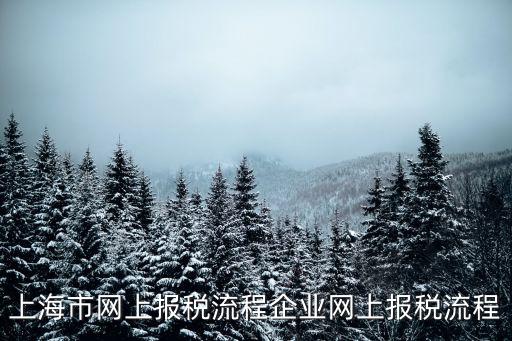 上海市報(bào)稅流程，報(bào)稅記賬流程上海