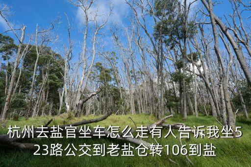 杭州去鹽官坐車怎么走有人告訴我坐523路公交到老鹽倉轉106到鹽