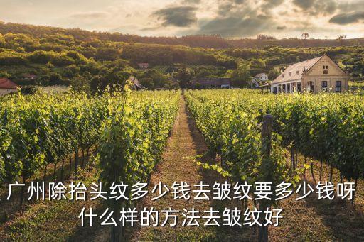 廣州除抬頭紋多少錢去皺紋要多少錢呀什么樣的方法去皺紋好