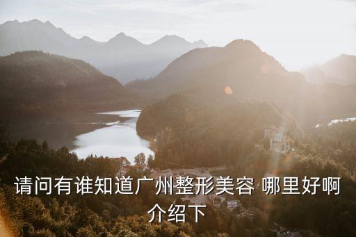 廣州哪里有整容直問美來不錯，請問有誰知道廣州整形美容 哪里好啊介紹下