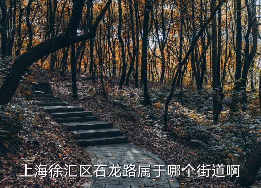 上海徐匯區石龍路屬于哪個街道啊