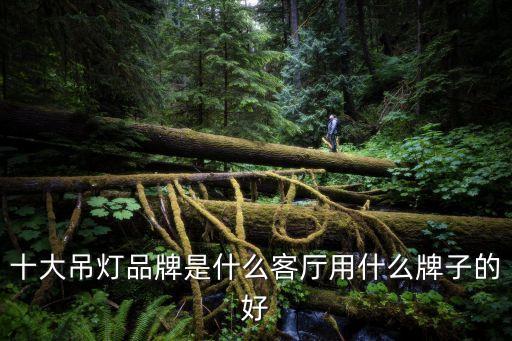 廣州昌h燈飾有限公司，提供廣州幾家燈具廠的地址給我