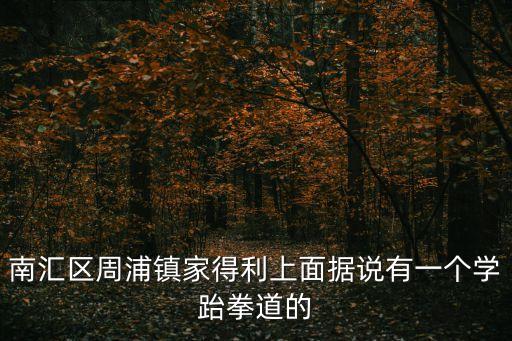 上海市跆拳道健將徐磊，南匯區周浦鎮家得利上面據說有一個學跆拳道的