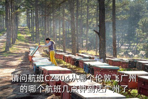倫敦飛廣州航班查詢，急急今天從倫敦到廣州航班幾點(diǎn)到
