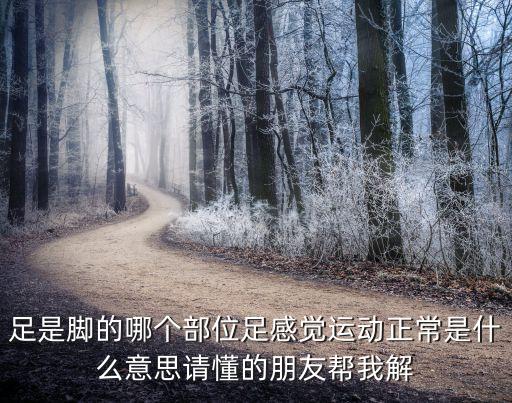 足就，足是腳的哪個部位足感覺運動正常是什么意思請懂的朋友幫我解