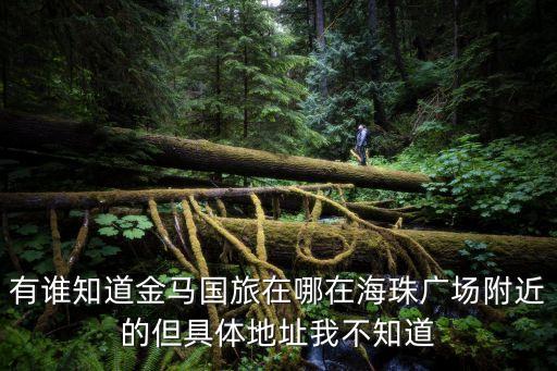 廣州國旅金馬總店，有誰知道金馬國旅在哪在海珠廣場附近的但具體地址我不知道