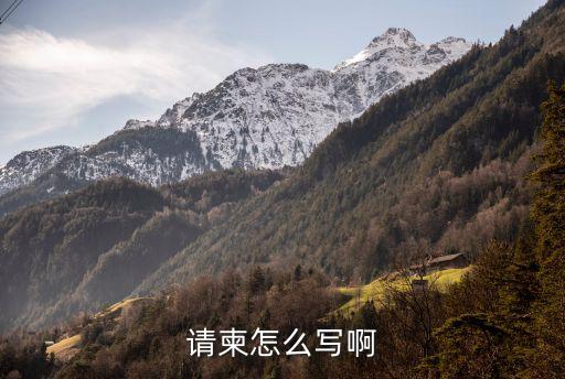 請柬格式，請柬怎么寫啊