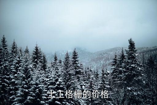 土工格柵的價格
