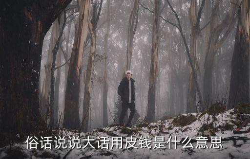說大話使小錢，俗話說說大話用皮錢是什么意思