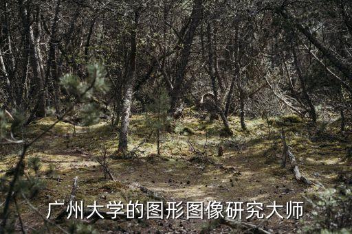廣州大學的圖形圖像研究大師