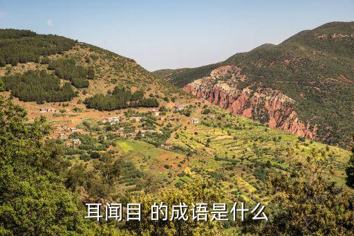 耳聞目 的成語是什么