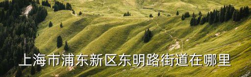 上海市浦東新區(qū)東明路街道在哪里