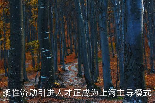 上海市海外人才引進數(shù)據(jù)，每年到上海的外來人才數(shù)量是多少