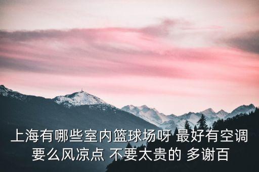 上海市內籃球場 空調，求上海室內有空調的籃球場