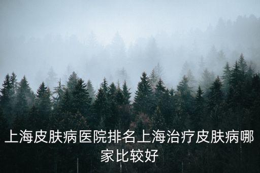 上海市皮膚病醫院價格，上海皮膚病醫院排名上海治療皮膚病哪家比較好