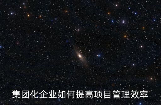集團(tuán)化企業(yè)如何提高項(xiàng)目管理效率