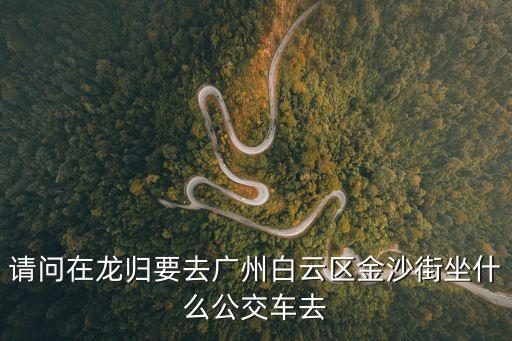 廣州金砂路步行街，請問在龍歸要去廣州白云區(qū)金沙街坐什么公交車去