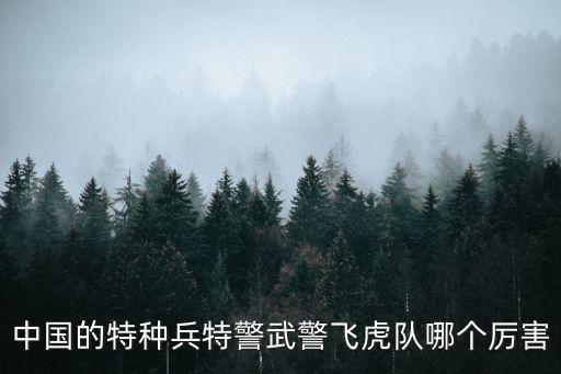 飛虎隊(duì)和廣州武警總隊(duì)，飛虎隊(duì)歸大陸武警編制了