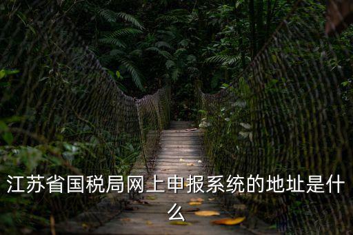 江蘇國稅網上申報系統，請問江蘇國稅網上申報怎么下載登陸申報地稅網上申報為什