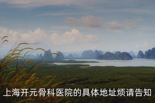 上海市鳳溪鎮附近有沒有骨科醫院，上海開元骨科醫院的具體地址煩請告知