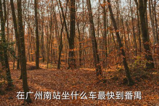 在廣州南站坐什么車最快到番禺