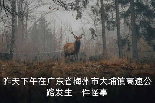 昨天下午在廣東省梅州市大埔鎮高速公路發生一件怪事