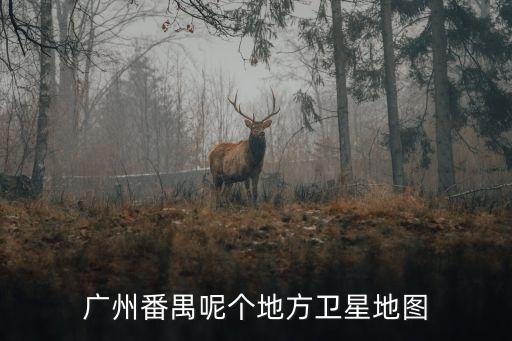 廣州番禺呢個地方衛(wèi)星地圖