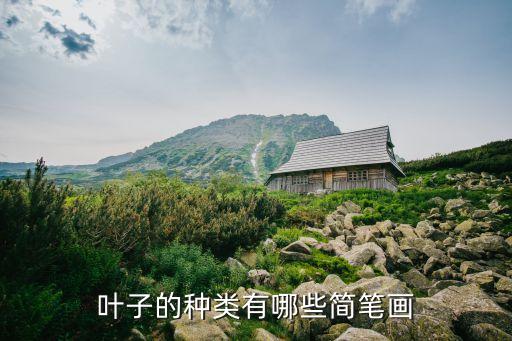 簡筆畫葉子，葉子的種類有哪些簡筆畫