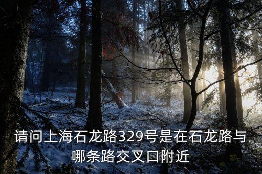 上海市石龍路是哪個區(qū)的，請問上海石龍路329號是在石龍路與哪條路交叉口附近