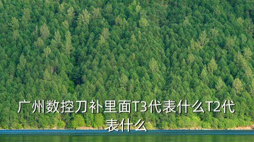 廣州數(shù)控刀補(bǔ)里面T3代表什么T2代表什么
