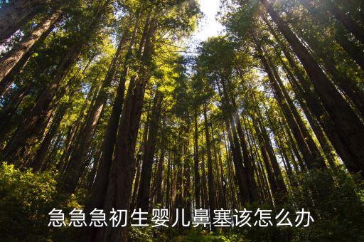 新生兒鼻塞怎么辦，寶寶鼻塞怎么辦